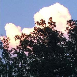 Meet your Posher, Holly